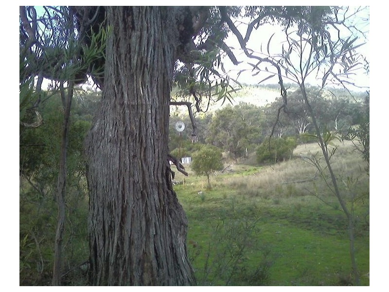 71 Whittons Road, Tamworth NSW 2340