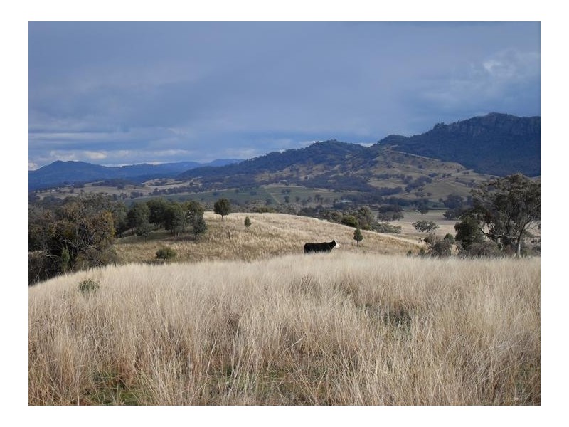 71 Whittons Road, Tamworth NSW 2340