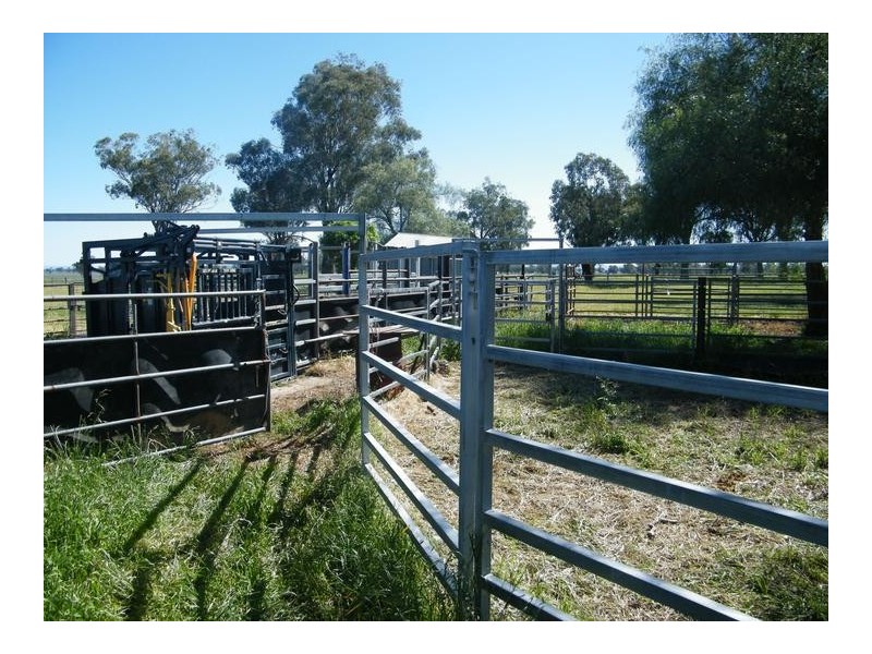 808 Oakey Road, Tamworth NSW 2340