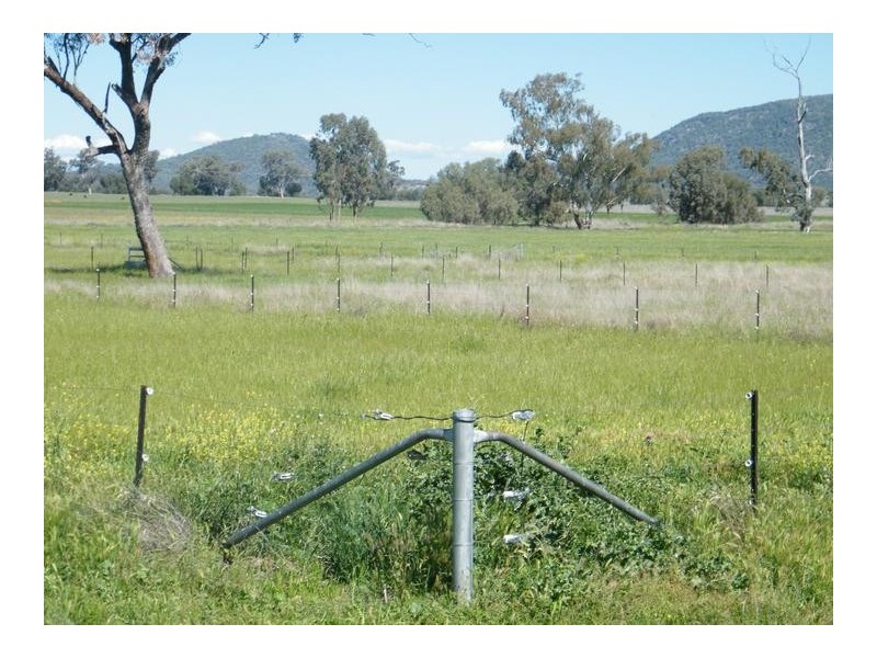 808 Oakey Road, Tamworth NSW 2340