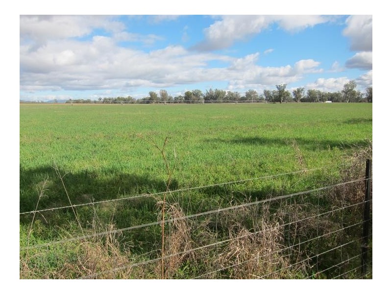 226 Evans Lane, Tamworth NSW 2340