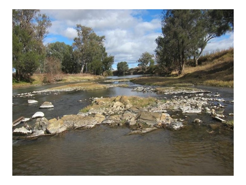 226 Evans Lane, Tamworth NSW 2340