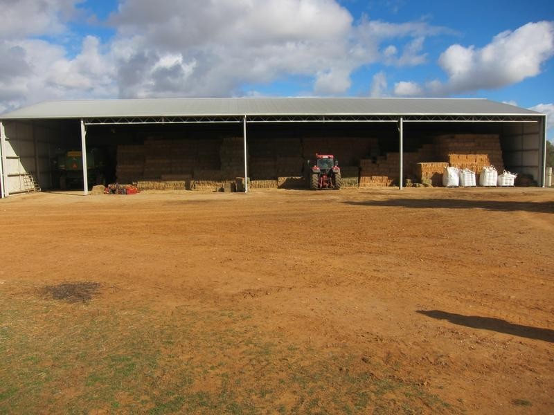 226 Evans Lane, Tamworth NSW 2340