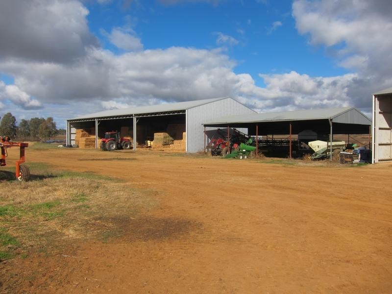 226 Evans Lane, Tamworth NSW 2340