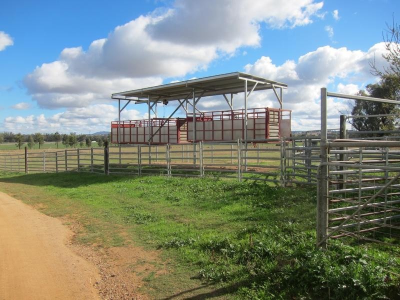 226 Evans Lane, Tamworth NSW 2340