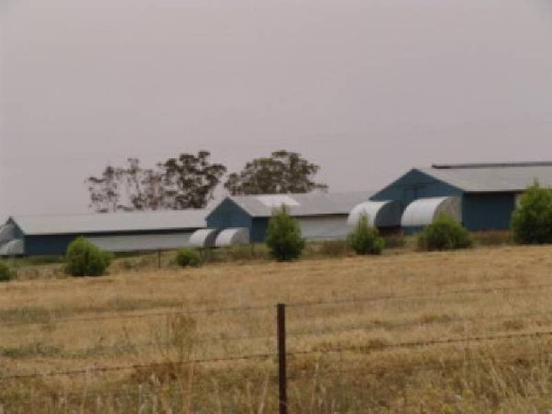 Tamworth NSW 2340