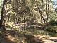 Halls Creek ROAD, Manilla NSW 2346