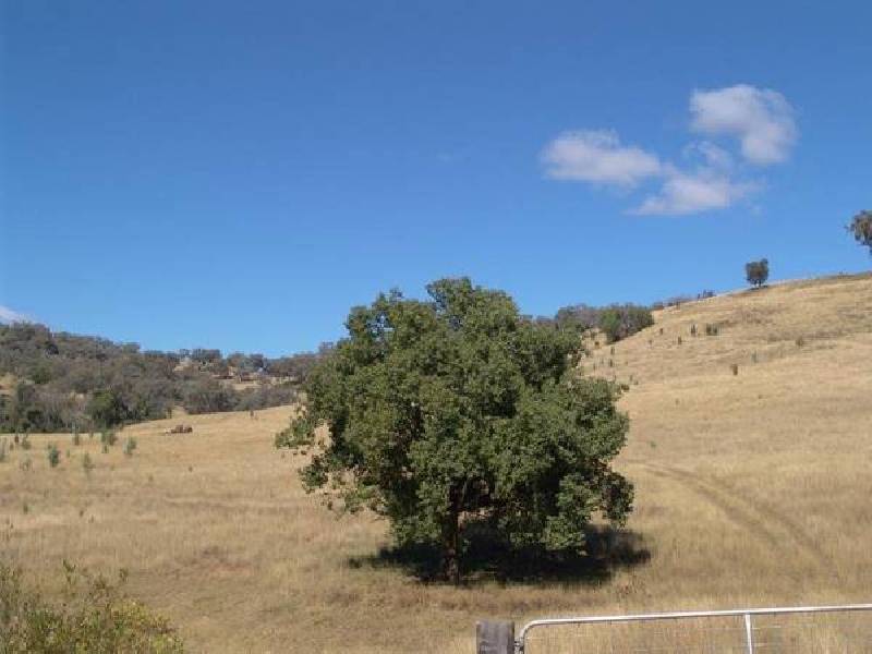 Halls Creek ROAD, Manilla NSW 2346