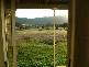 Willowdene BarrabaROAD, Manilla NSW 2346