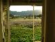 Willowdene BarrabaROAD, Manilla NSW 2346