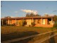 Kootingal NSW 2352