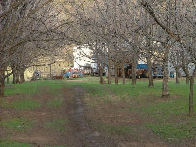 Kootingal NSW 2352