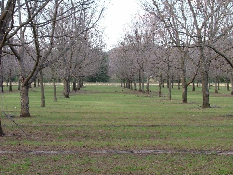 Kootingal NSW 2352