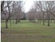 Kootingal NSW 2352