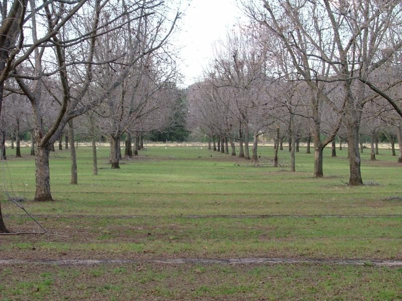 Kootingal NSW 2352