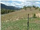 Tamworth NSW 2340