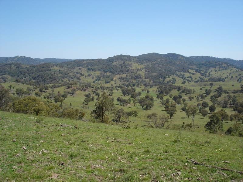 Bendemeer NSW 2355