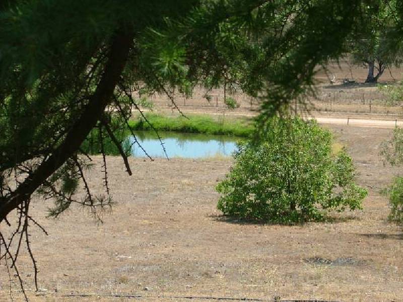 Werris Creek NSW 2341