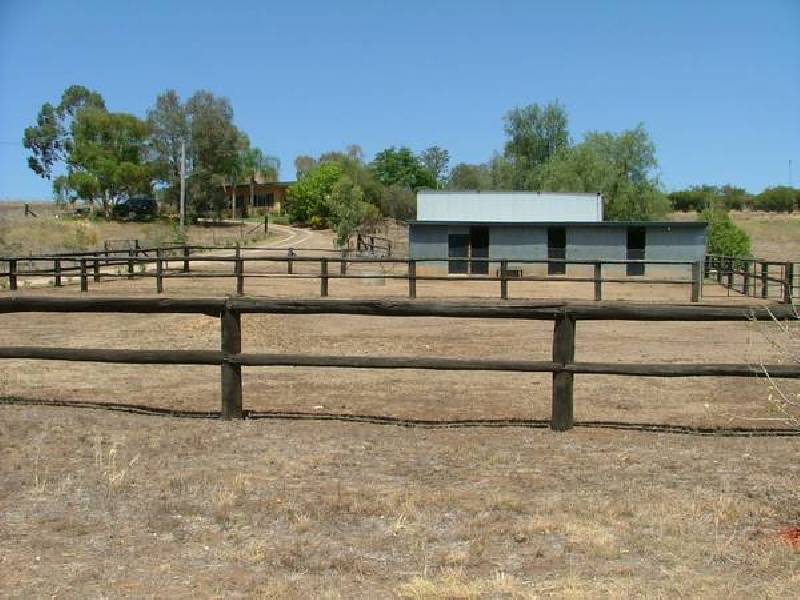 Werris Creek NSW 2341