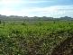 Werris Creek NSW 2341