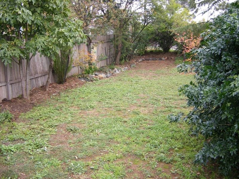 33 David Street, Tamworth NSW 2340