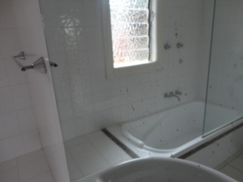 7 Hyman St North, Tamworth NSW 2340