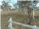 Gardiners Road, Tamworth NSW 2340