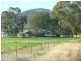 Manilla NSW 2346