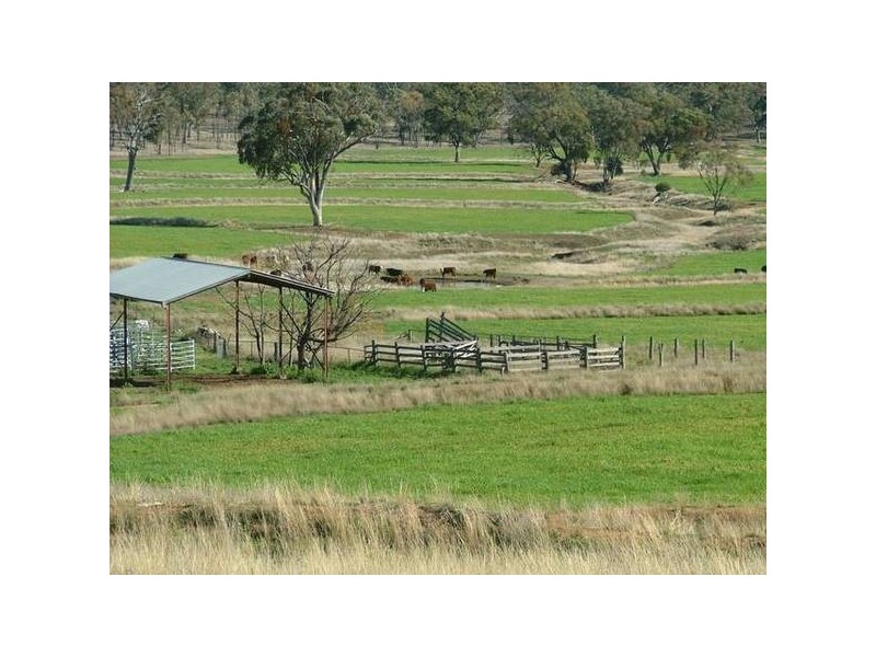 Manilla NSW 2346