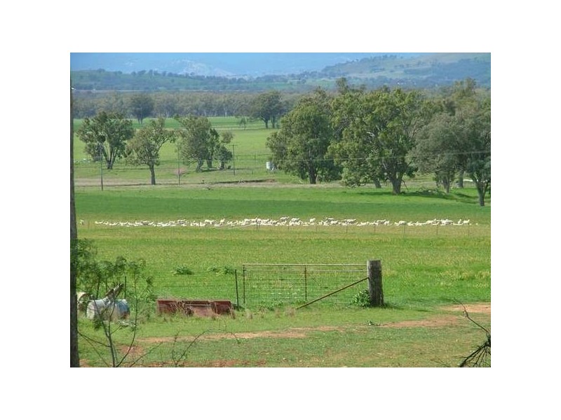 Gowrie NSW 2330