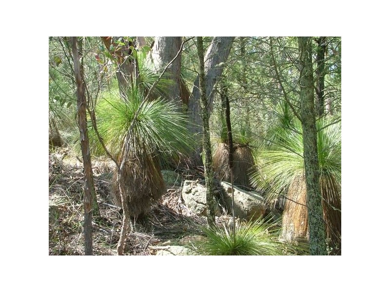 Bendemeer NSW 2355