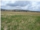 Attunga NSW 2345