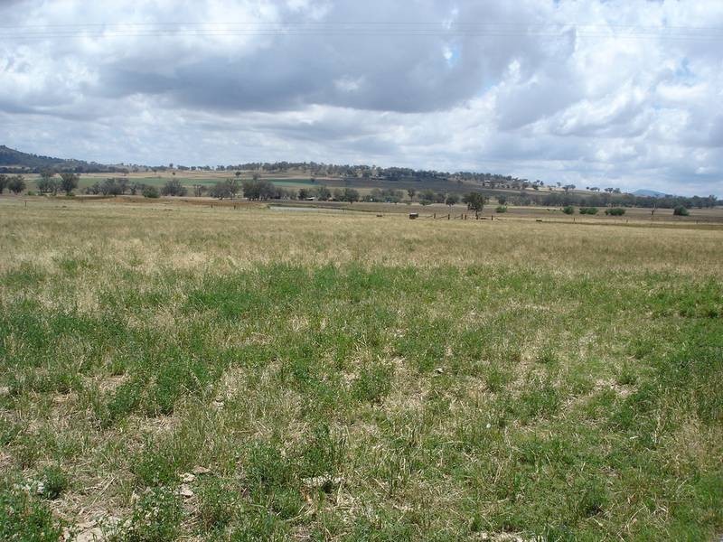 Attunga NSW 2345