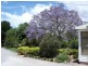 Attunga NSW 2345