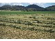 Tamworth NSW 2340