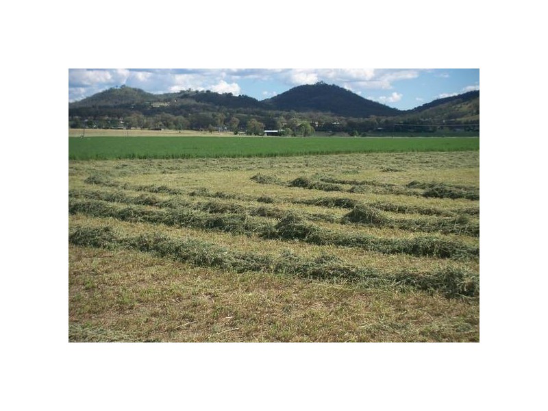 Tamworth NSW 2340