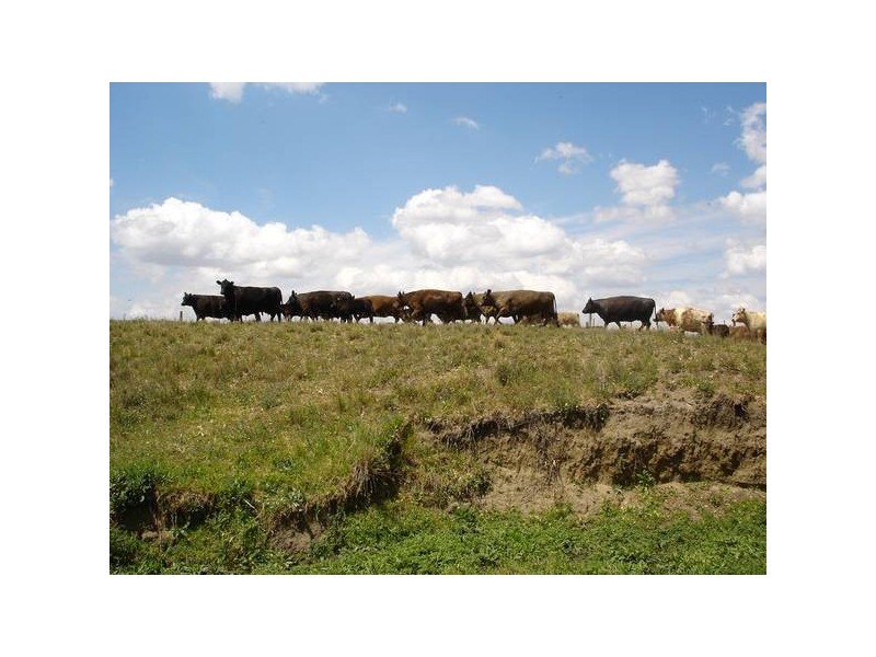 277 Tanglewood Road, Moonbi, Tamworth NSW 2340