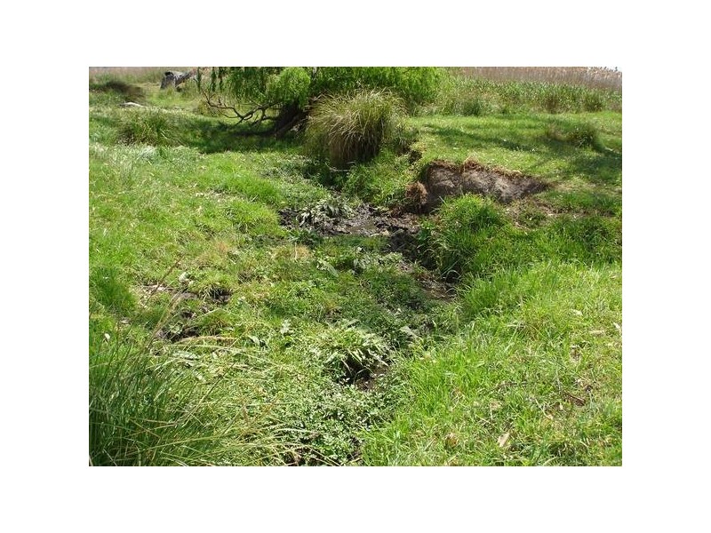 277 Tanglewood Road, Moonbi, Tamworth NSW 2340