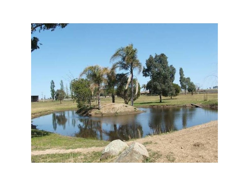 519-537 Goonoo Goonoo Road, Tamworth NSW 2340