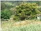 Tamworth NSW 2340