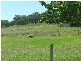 Tamworth NSW 2340