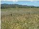 Manilla NSW 2346