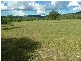 Moore Creek NSW 2340