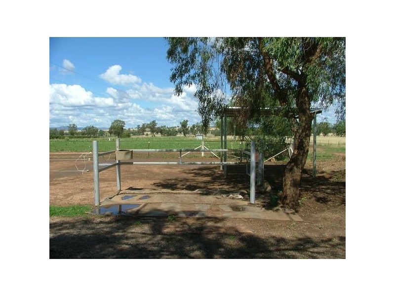 Tamworth NSW 2340