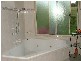Tintinhull NSW 2352