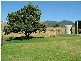 Tintinhull NSW 2352