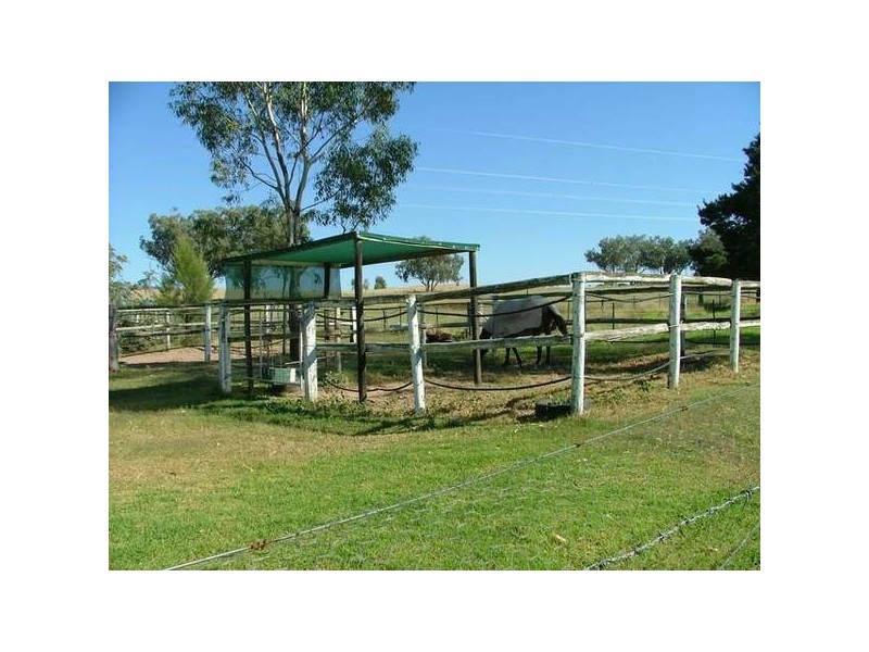 Tintinhull NSW 2352