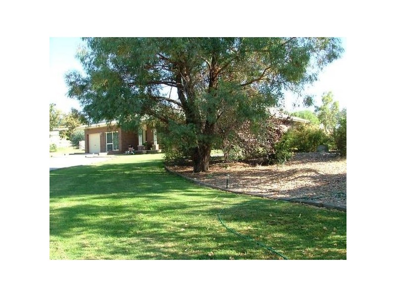 Tintinhull NSW 2352
