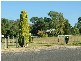 Tintinhull NSW 2352