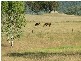 Tamworth NSW 2340